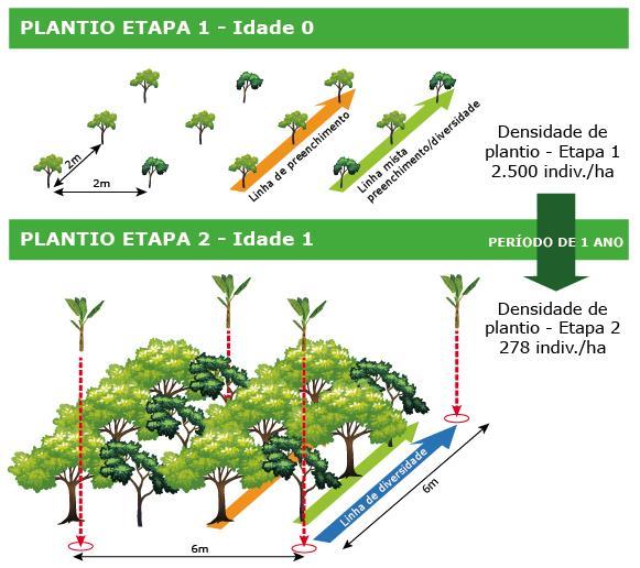 Técnicas propostas 1.