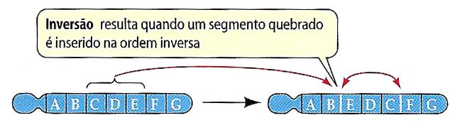 Inversão As quebras e religações podem também levar a inversões.