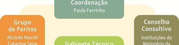 consultores 20 análises especializadas