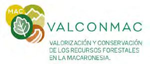 O Projeto VALCONMAC baseia-se na continuação do desenvolvimento das metodologias de transferência e intercâmbio de informações, sustentadas nas experiências implementadas no campo florestal na Região