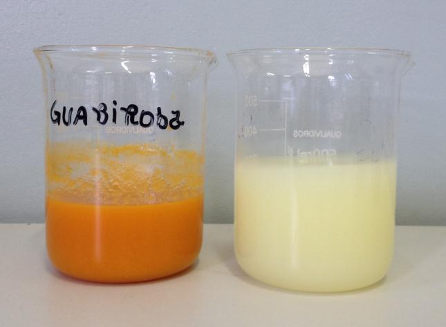 33 Com relação à variável Chroma, que indica a intensidade (saturação) da cor, o néctar 100:0 apresentou diferença significativa das demais formulações, com menor valor (36,7 ± 1,1).