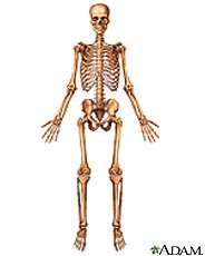 Existem: 33 elementos ósseos regularmente ANATOMIA NA COLUNA VETEBRAL PARA RAQUIANESTESIA super postos