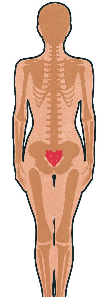 COMO POSICIONAR O SUPORTE SACRAL (CONTINUAÇÃO) O suporte sacral deve ser posicionado antes do suporte do pescoço. Coloque o suporte sacral sob a pélvis, em posição central, de encontro ao seu sacro.