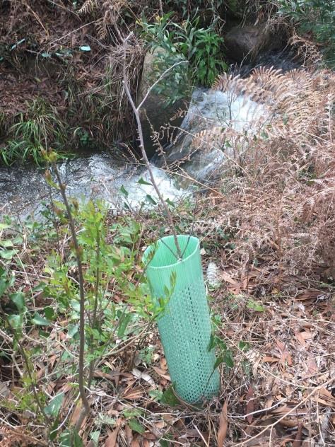 O maior problema do PNSC Este parque apresenta um grande problema, que