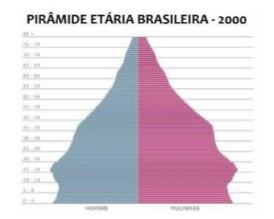 Evolução da pirâmide etária brasileira: O crescimento da população idosa exige novos investimentos do estado, principalmente no que se refere ao sistema previdenciário e
