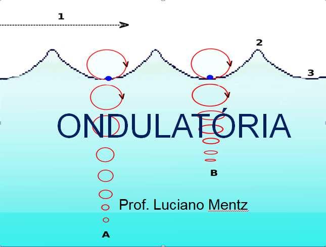 Aula 1 Objetivo: Iniciar o conteúdo de física ondulatória. Ao final da aula os alunos devem compreender o conceito de onda, como as ondas são criadas e classificar as ondas quanto a sua natureza.