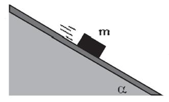 6. Um bloco colocado sobre um plano inclinado inicia o seu movimento de descida somente quando o ângulo de inclinação do plano com a horizontal for de 45.