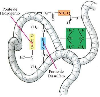 TIPOS DE