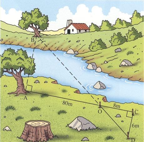 Para determinar a distância da árvore à árvore situada na outra margem do rio, marcaram-se os pontos, D e
