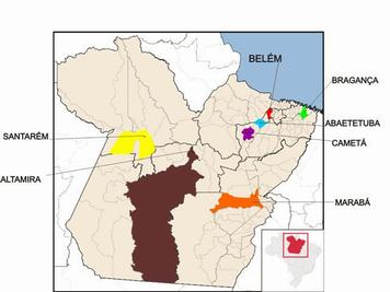 (Conclusão) Grupo de Estudo e Pesquisa em Educação e Desenvolvimento da Amazônia - GEPEDA 2008 Grupo de Estudo e Pesquisa em Educação e Diversidade da Região Bragantina 2010 Grupo de Estudos: