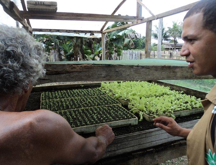 NOVO CÓDIGO, NOVA CONDUTA, NOVOS OLHARES Com o novo Código Florestal o tema recuperação de áreas ganhou muita força e parece ter se firmado como um dos grandes desafios para todos os biomas do país