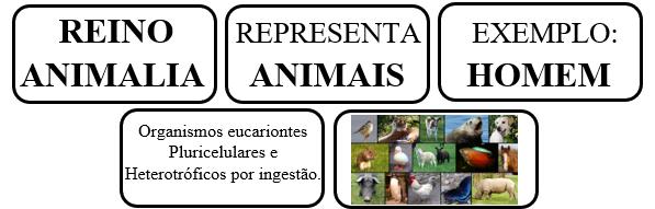 Metodologia De natureza qualitativa experimental, o presente trabalho se iniciou a partir de uma pequena pesquisa bibliográfica baseada nos estudos de Gomes & Friedrich (2001), Rizzo (2001), Pozo