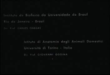 Estágios intracelulares do ciclo de vida do Trypanosoma cruzi. A versão digital de 1:57 min editada de um filme de 14 min originalmente produzido em 16 mm por Hertha Meyer em Turim, 1963.
