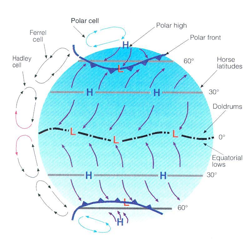 Terra homogênea com rotação Célula Hadley Célula de Ferrel Célula Polar A B A
