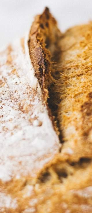 O TRIGO E A FARINHA A escolha da farinha é o ponto de partida para a produção do pão. A farinha de trigo comum é obtida pela moagem do trigo comum (tricum vulgare).