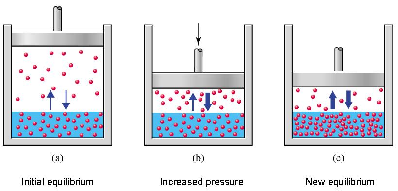 f) Pressão e Solubilidade dos Gases (Lei de Herny) Organismos aquáticos dependem do oxigênio dissolvido na água e essa quantidade