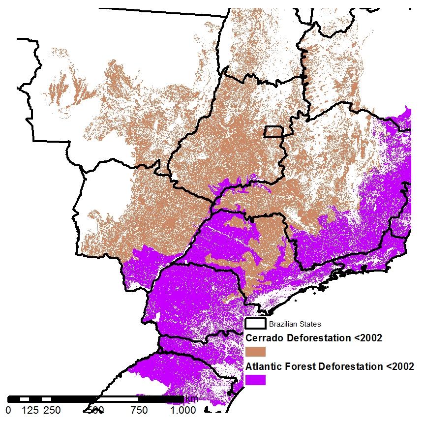 Desmatamento - Brasil Desmatamento expressivo ocorreu antes de 2002 Expansão em área que foi