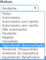 . Este status será utilizado quando a Auditoria Medica solicitar uma documentação para o prestador providenciar.