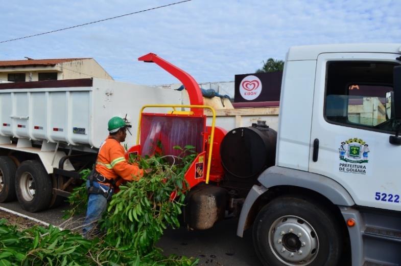 juntamente com cascas de arroz e esterco bovino, resultam em um composto orgânico utilizado na produção e manutenção de