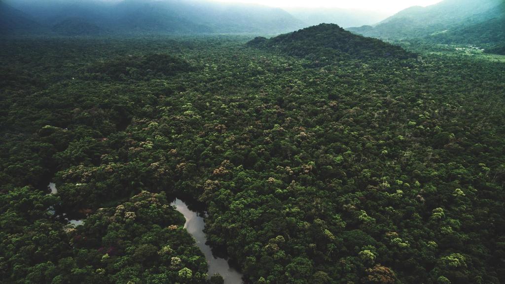 Destaques : forte trimestre para Natura &Co Crescimento de dois dígitos em vendas e EBITDA: Natura: Crescimento de Receita e EBITDA, com melhora de produtividade e avanços na digitalização The Body