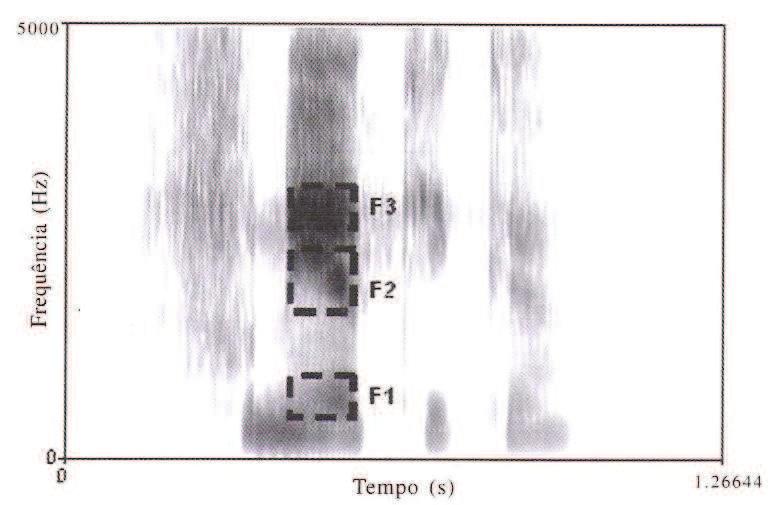 Figura 1 Espectrograma de banda larga da palavra fonética Fonte: (MIRA MATEUS; FALÉ; FREITAS, 2005, p.