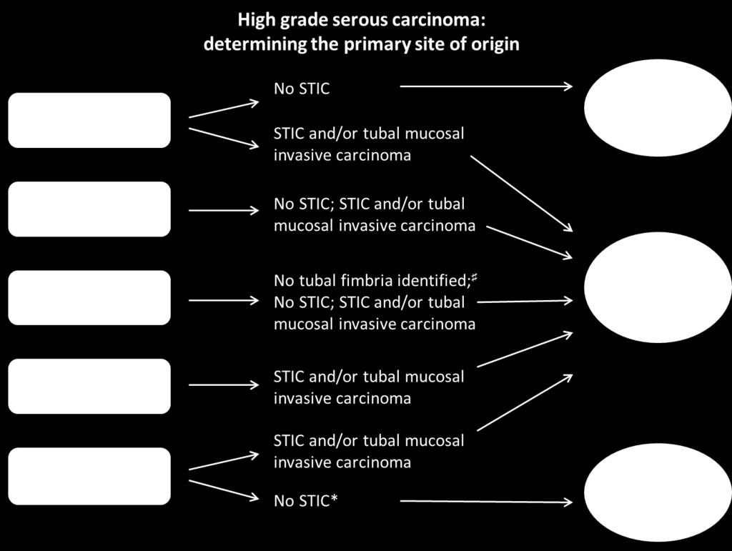 fallopian tube carcinoma Omental/ peritoneal mass No STIC* Primary peritoneal carcinoma Carcinoma seroso de alto grau: determinar o local de origem primário Massa ovárica Sem STIC STIC e/ou carcinoma