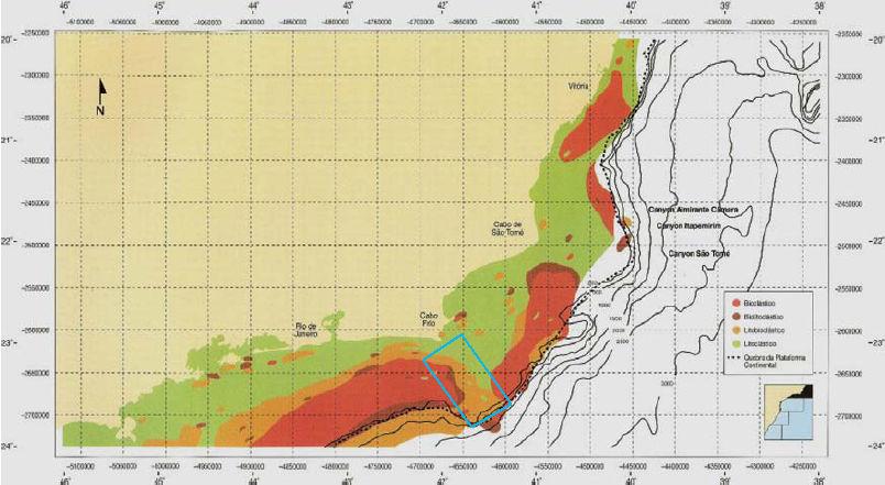 O conhecimento da sedimentação na margem continental brasileira como um todo pode ser verificado por diversos estudos, sendo os pioneiros realizados pelo projeto Remac e Programa REVIZEE.