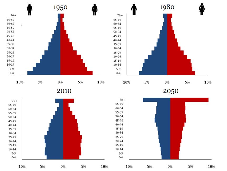 Distribuição etária da população brasileira