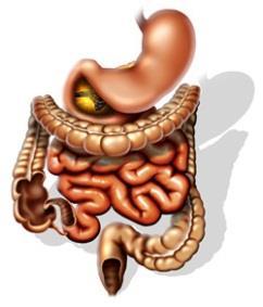 Principais EAs (qualquer grau) mais comuns com nintedanibe: Gastrointestinal -Diarreia, náusea e vômito