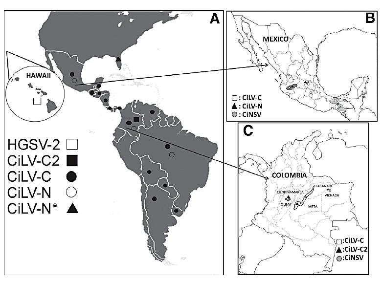 34 Figura 5 - Distribuição da diversidade de VTB associados à leprose dos citros no continente americano (retirado de ROY et al., 2015a).