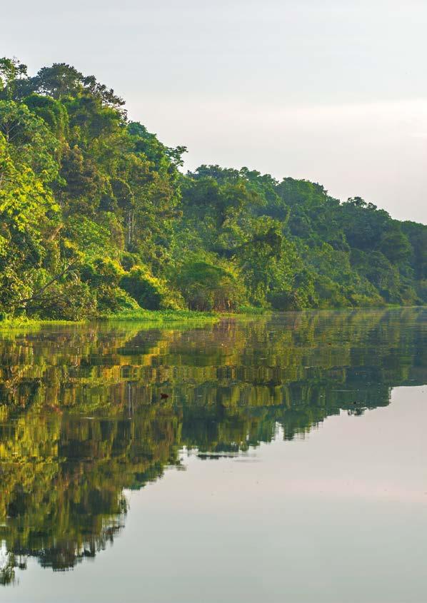 Caminhos para o investimento sustentável na Amazônia: Oportunidades para a aplicação