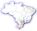 Matriz de Transportes no Brasil TKU Total em 2002: 800 490 61% 170 21% ( 25% - 2005 ) 5 1% 35 4% 100 13% Rodoviário