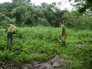 No dia 13 de dezembro de 2007, o IASB realizou o plantio de mudas de espécies nativas no sítio Anjo Gabriel localizado às margens do rio Mimoso, próximo a