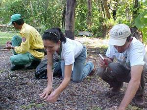 - Manejo de pastagens. O curso foi realizado na Fazenda Rincão Bonito nos dias 24 a 26 de maio de 2007.