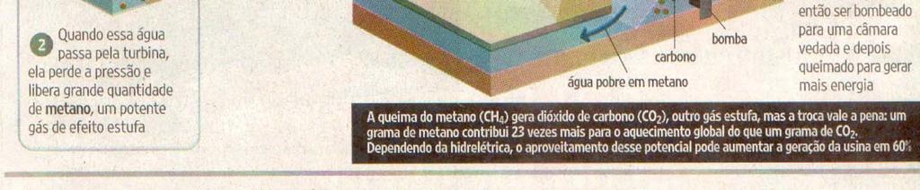 (Folha de