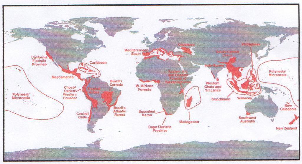 Os 25 hotspots de biodiversidade (a extensão de cada hotspot