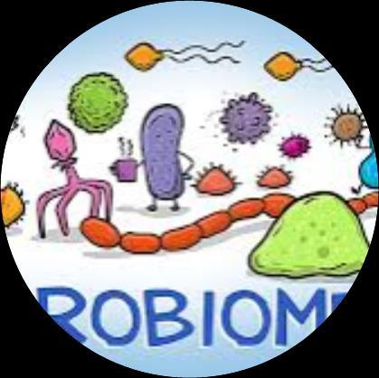 Composição do Microbioma Composta principalmente de bactérias, mas também de fungos, protozoários e até vírus.