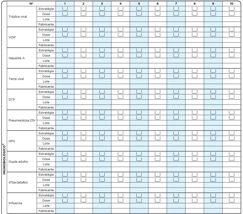 Para cada vacina aplicada o profissional deverá indicar a estratégia, a dose, o lote e o fabricante do imunobiológico.