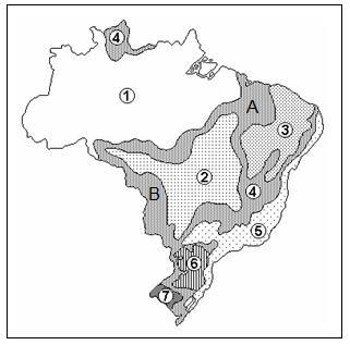 QUESTÃO 12 (CM 2017) ANALISE o mapa de Domínios Morfoclimáticos do Brasil a seguir, e RESPONDA às questões: Geografia a) IDENTIFIQUE cada domínio morfoclimático representado pelos números no mapa.