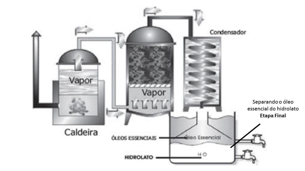 ÁGUAS DE GARDEN PROCESSO