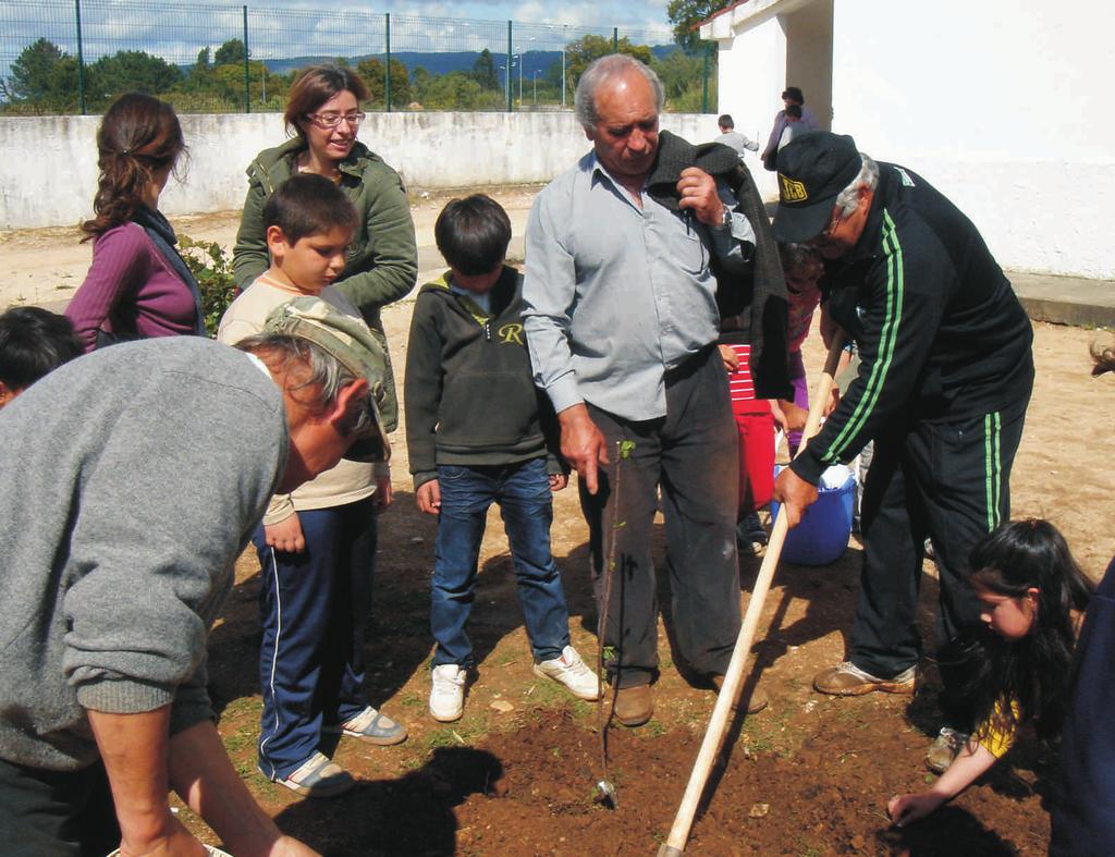 Assim, a 30 de Abril de 2009, elementos da ACTUAR e alguns agricultores do Bairro do Ingote juntaram-se a professores, pais e alunos e ainda à equipa do Projecto Trampolim e plantaram uma macieira