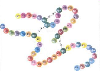 Cada proteína é formada por uma sequência