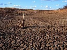 21. A DESERTIFICAÇÃO A desertificação é um processo que destrói as terras agrícolas e férteis de regiões secas, como as terras semiáridas do Nordeste brasileiro, em que 1,5 milhão de quilômetros