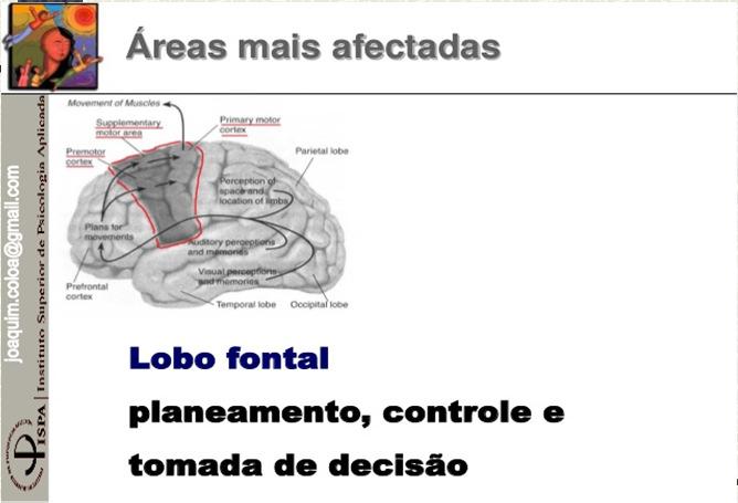 Aspectos Neurológicos do Autismo infantil Aspectos Neurológicos do Autismo infantil As células do sistema límbico (hipocampo, amígdala, corpos mamilares, giro anterior do