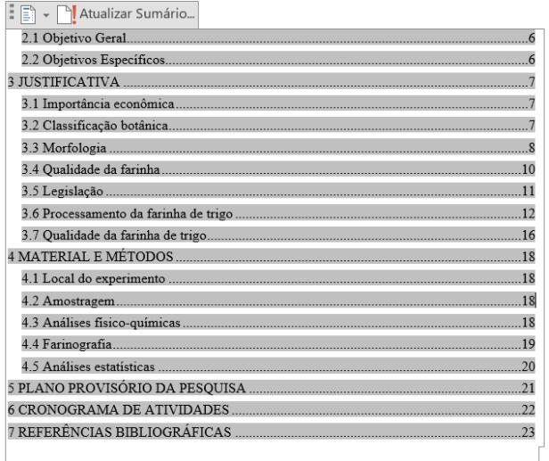 Definir Estilos Título 1 ou 2 ou 3;