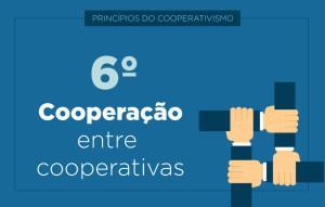 Além dos associados de uma mesma cooperativa unirem-se e cooperarem uns com os outros, essa ajuda mútua também se estende para as relações entre as diversas