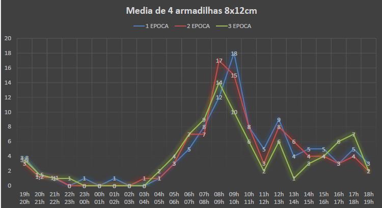 Movimento de Adultos de D.