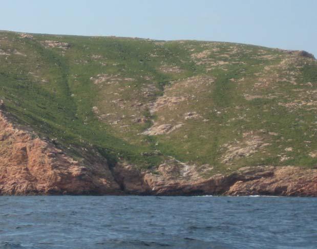 Figura 31 Vista geral da face Sudeste da Ilha da Berlenga, a Nordeste do Carreiro do Mosteiro, assinalando-se do sítio das Figueiras.