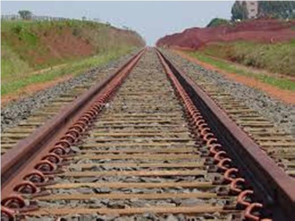 Plano Nacional de Desenvolvimento de Florestas Plantadas PNDF Barreiras Infraestrutura e Logística: Ferrovias: o Falta de ferrovias para acesso aos portos de Suape e