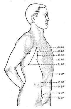 Sintomas de alterações energéticas: dor abdominal, distensão ou sensação de plenitude abdominal, diarréia, digestão